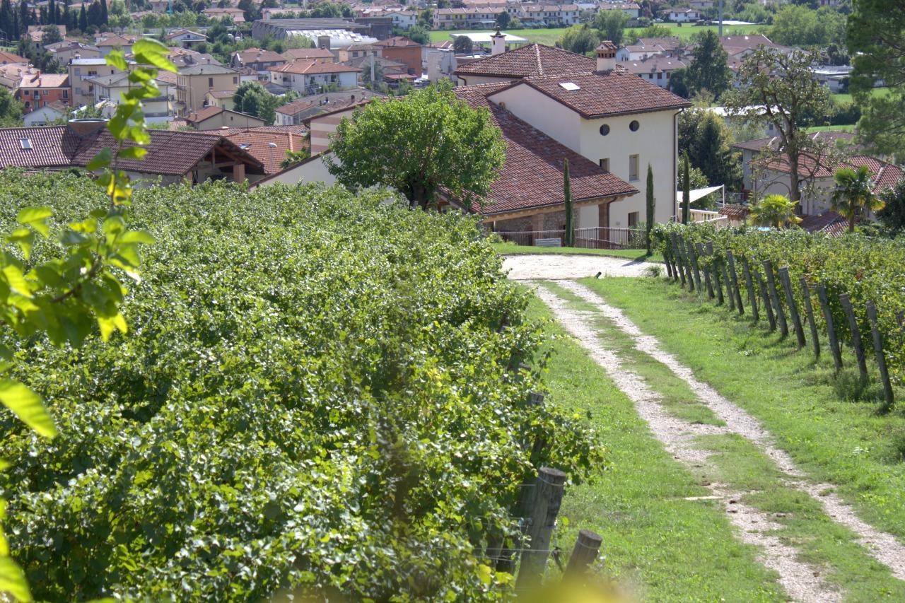 La Costa Fattoria Sociale Villa Sarcedo Ngoại thất bức ảnh